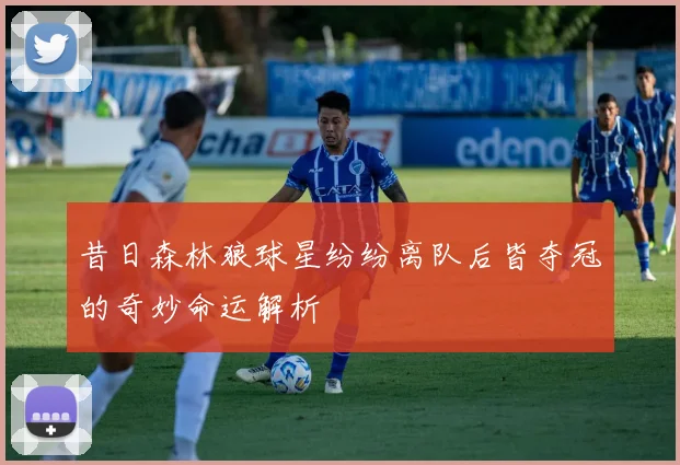 昔日森林狼球星纷纷离队后皆夺冠的奇妙命运解析